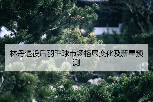 lin-dan-tui-yi-hou-yu-mao-qiu-shi-chang-ge-ju-bian-hua-ji-xin-xing-yu-ce-2-733.jpg